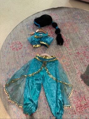 Jasmine Teal Princess Genie Costume with Gold Trim